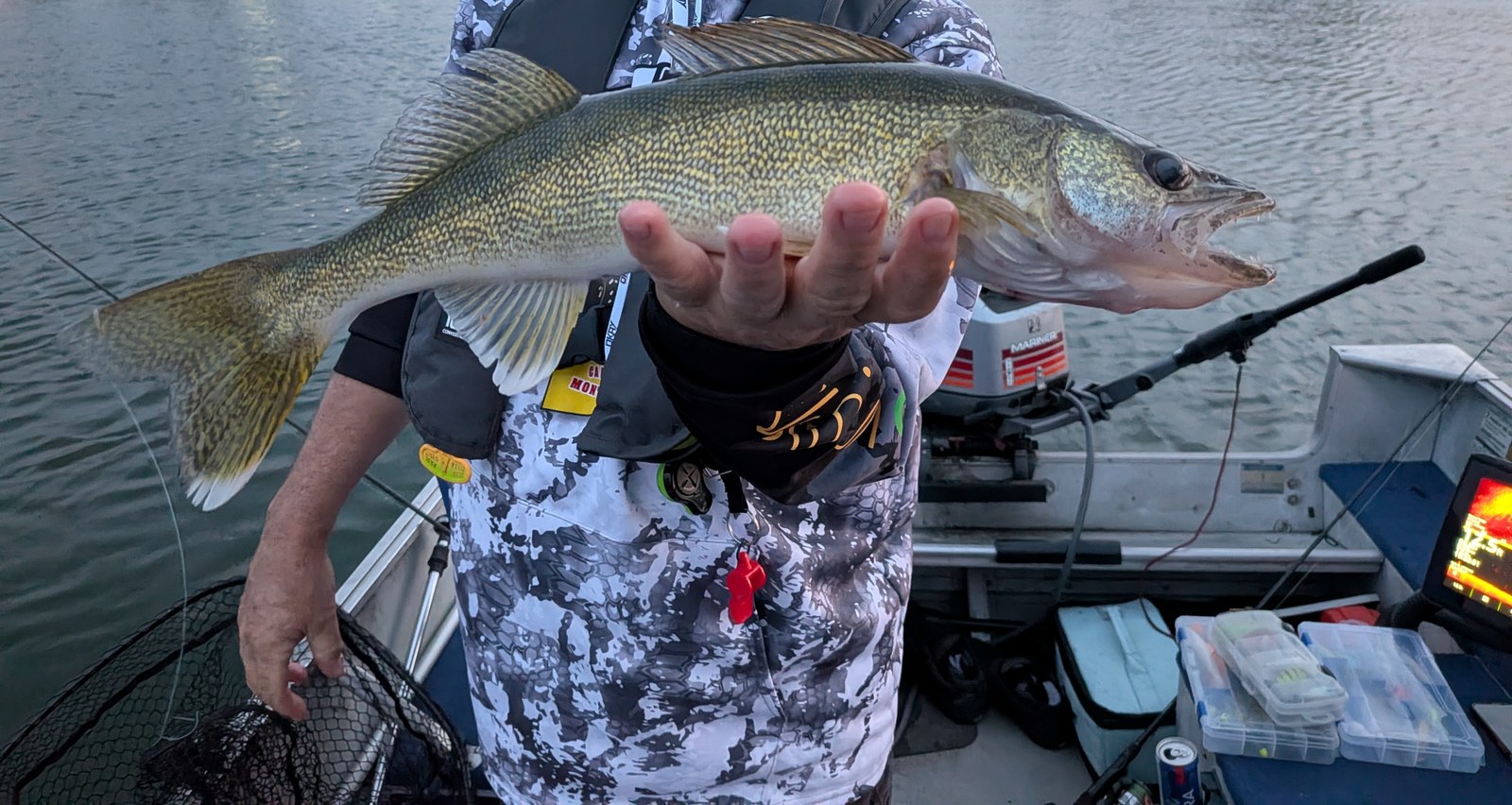 Un doré jaune tenu à une main au-dessus de l'eau, au crépuscule, devant le moteur hors-bord.