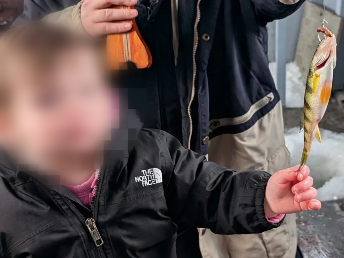 Une jeune enfant, visage masqué, tenant une petite perchaude sur la glace